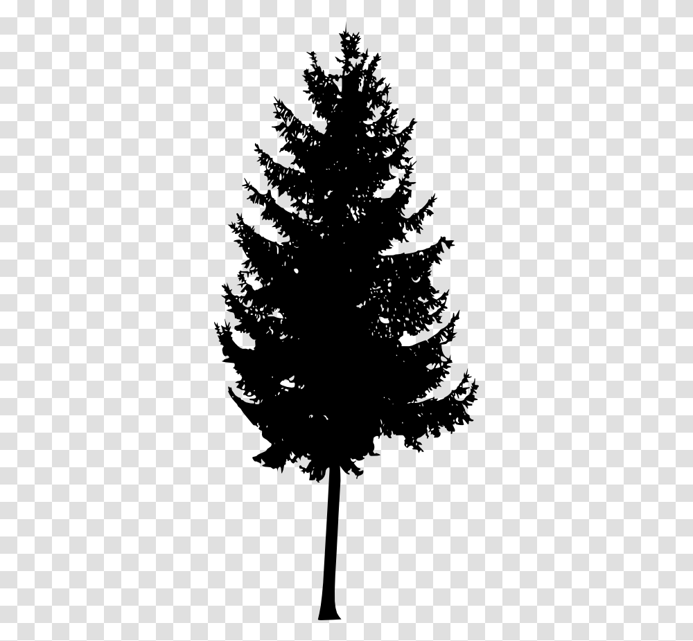 Pine Tree Silhouette Vol Mountain Ash Tree Silhouette, Christmas Tree, Ornament, Plant, Stencil Transparent Png
