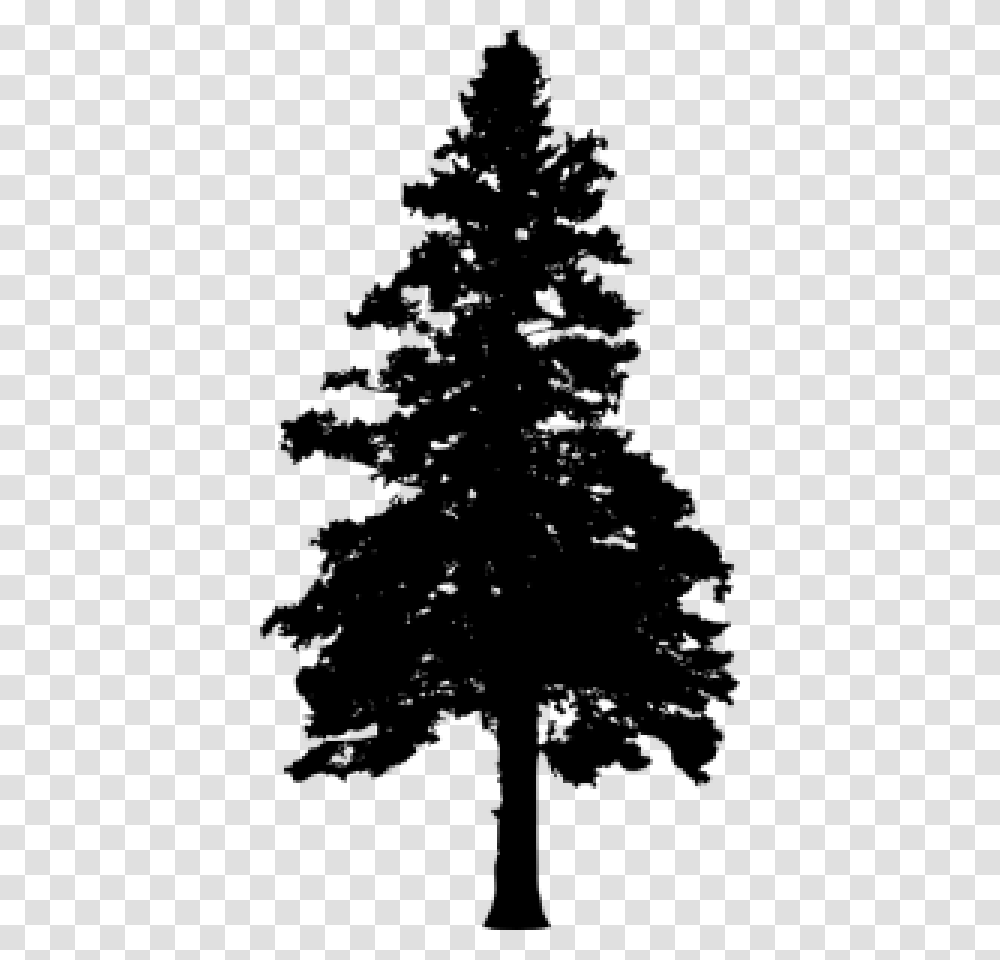 Pine Tree Silhouette Vol Silhouette Pine Tree With No Background, Plant, Fir, Abies, Conifer Transparent Png