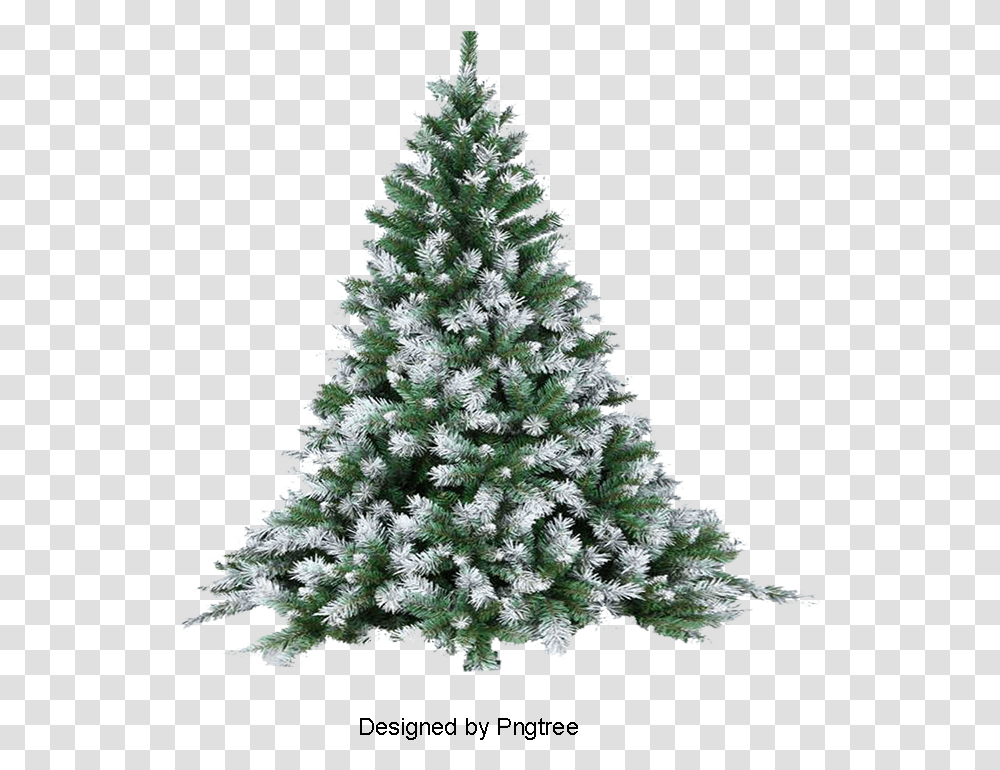 Pine Tree Snow Christmas Tree With White Snow, Ornament, Plant, Conifer Transparent Png
