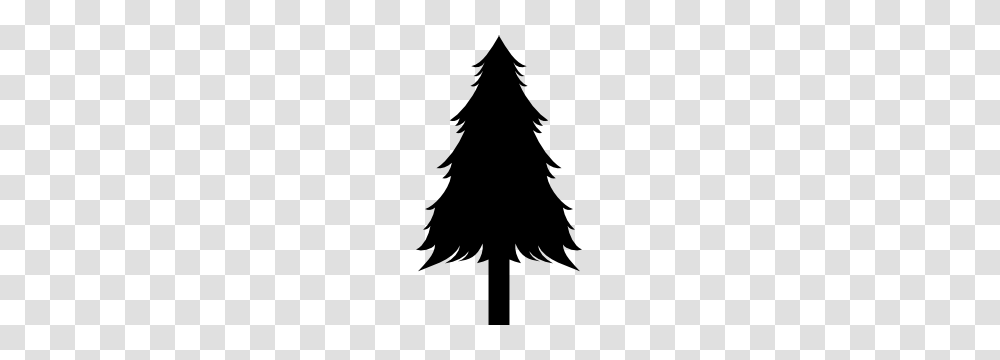 Pine Tree Stickers Pine Tree Decals, Silhouette, Stencil, Plant Transparent Png