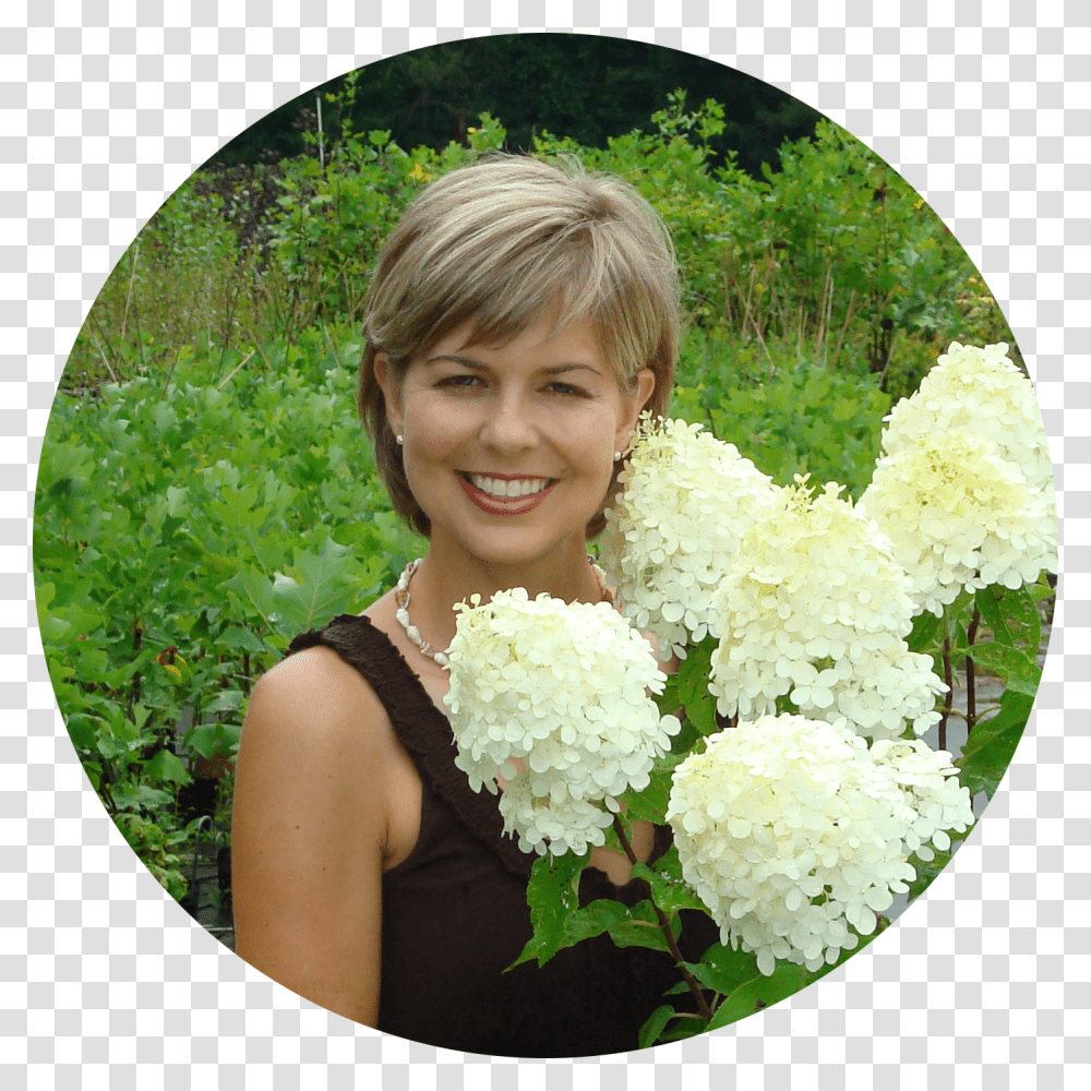 Pine Tree Top View Bouquet Transparent Png