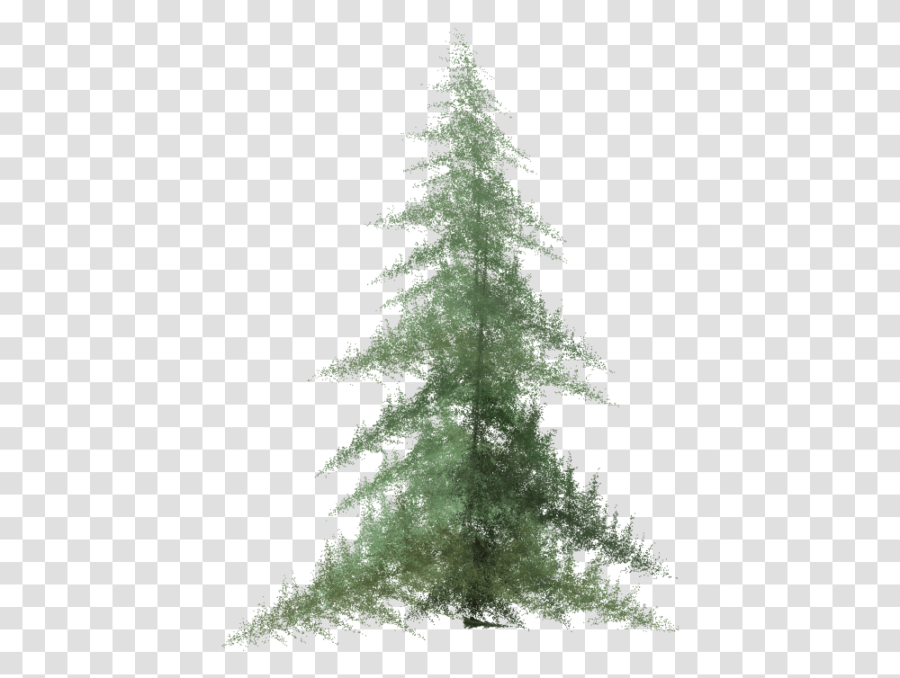 Pine Tree Top View Watercolor Pine Tree, Plant, Ornament, Christmas Tree, Fir Transparent Png