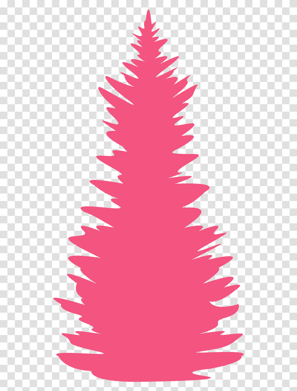 Pine Tree Vector, Plant, Ornament, Christmas Tree, Fir Transparent Png