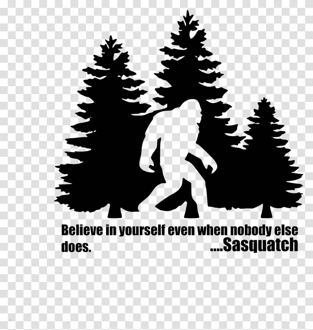 Pine Tree Vector, Plant, Outdoors, Nature, Person Transparent Png