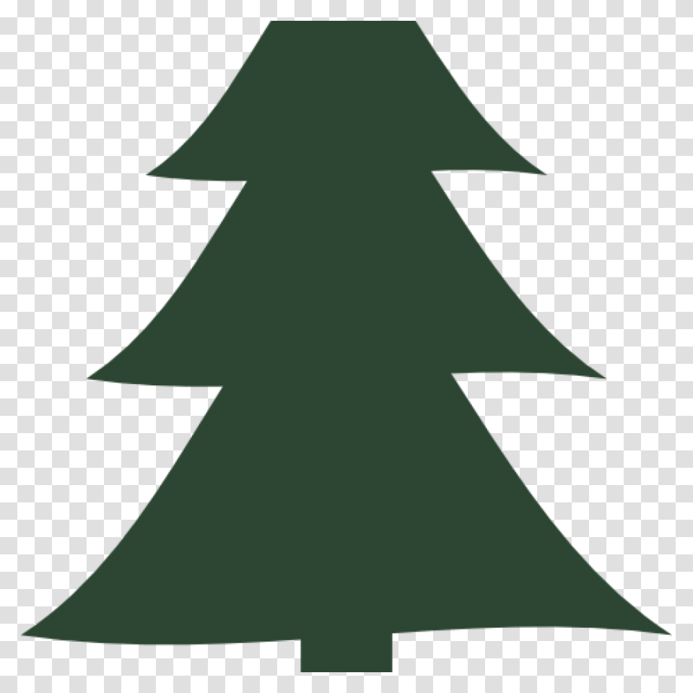 Pine Tree Vector Trees Vector Pine, Plant, Star Symbol, Fir, Abies Transparent Png