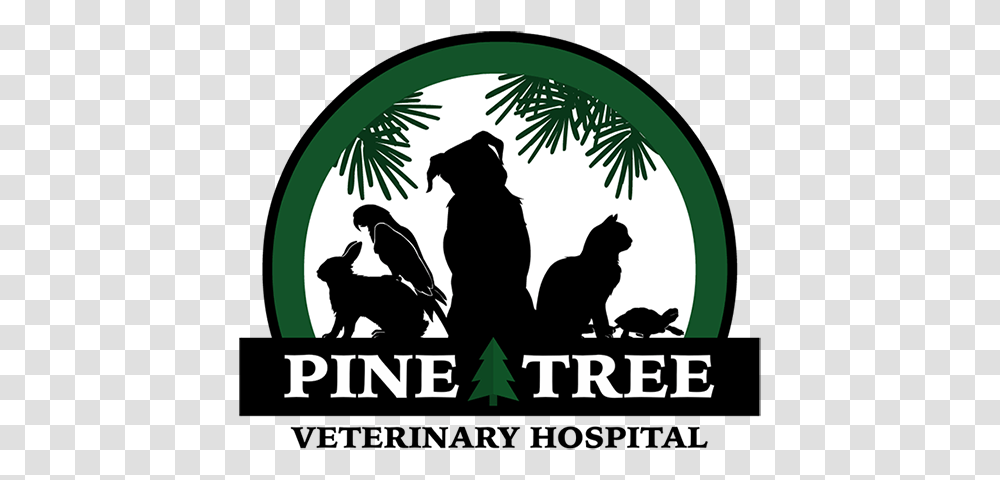 Pine Tree Veterinary Hospital Pllc Better Business Bureau Silhouette, Person, Human, Poster, Advertisement Transparent Png