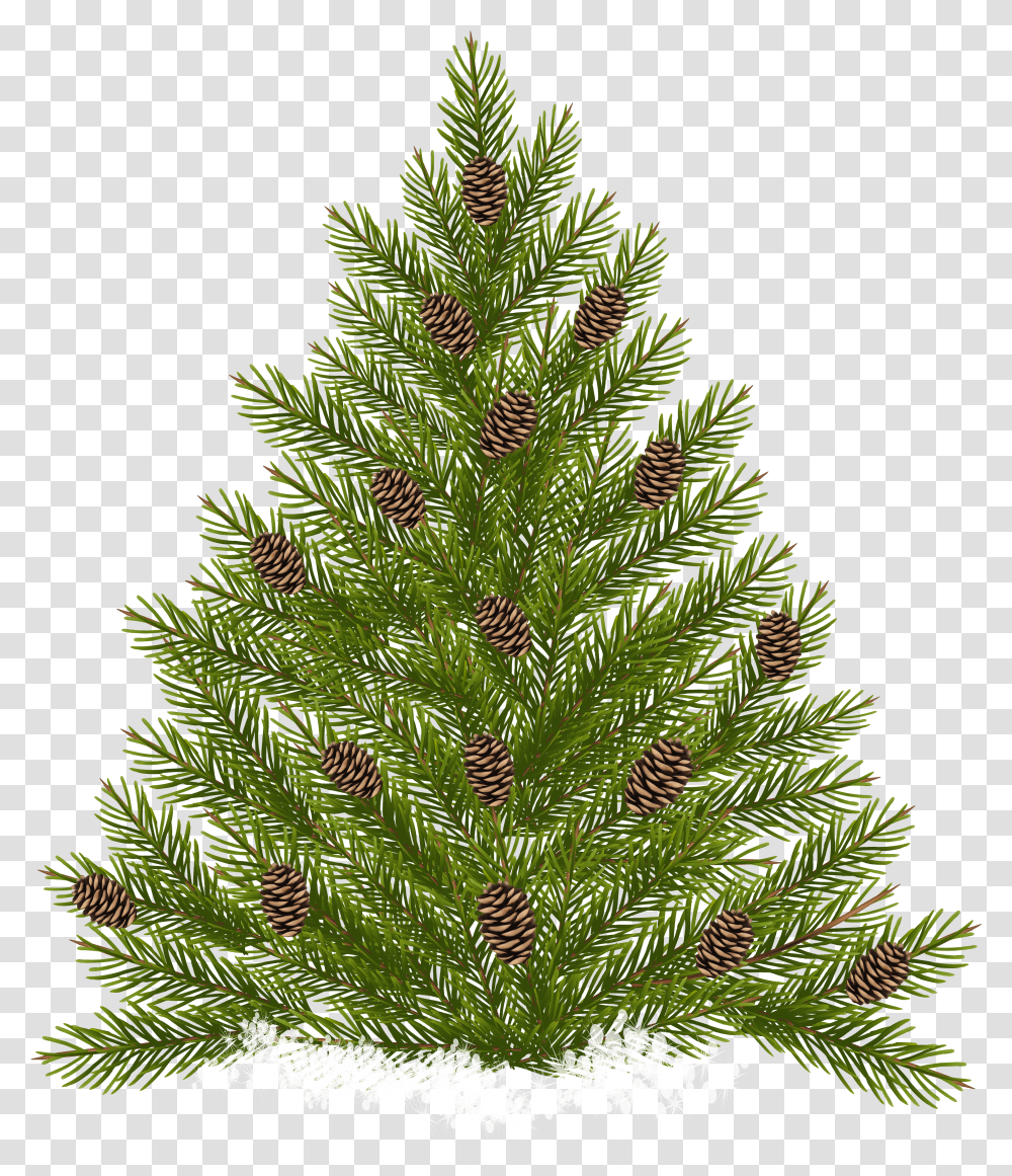 Pine Tree With Cones Clip Art Transparent Png