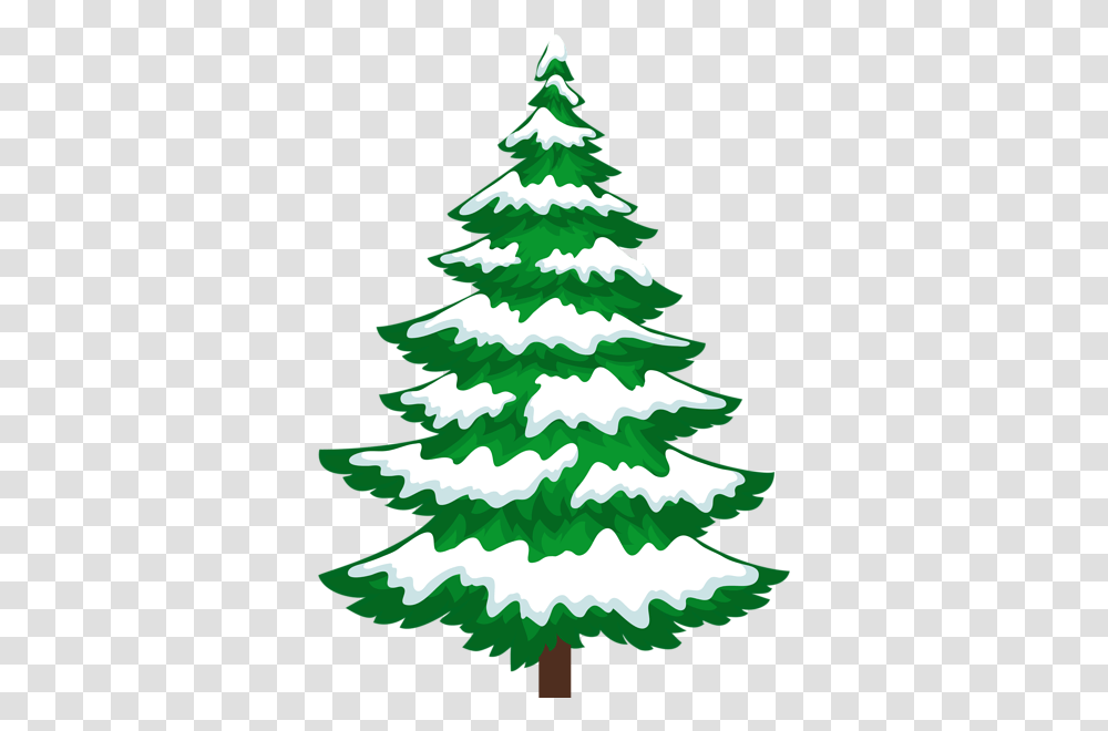 Pine Tree With Snow Clip, Plant, Ornament, Christmas Tree Transparent Png