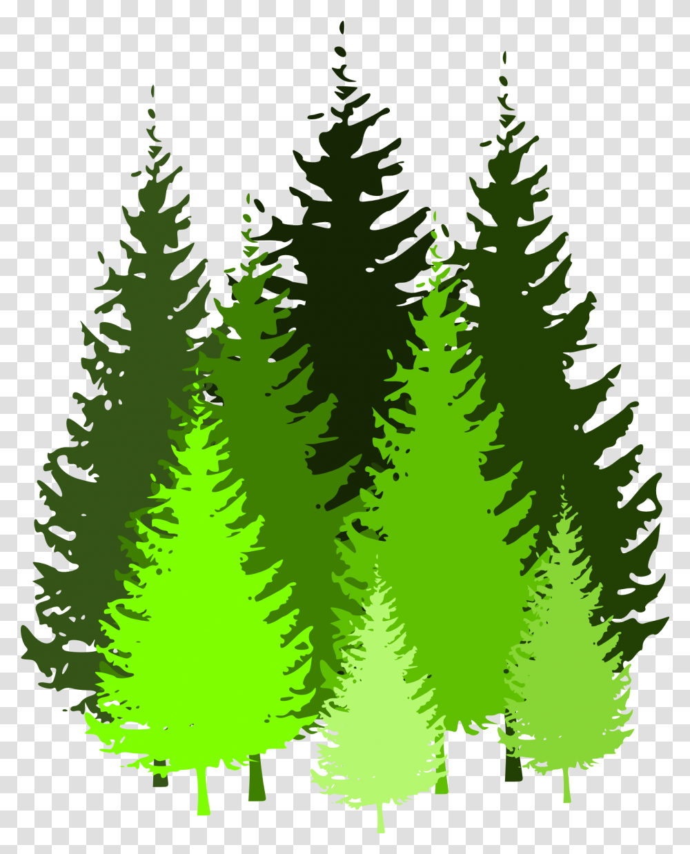 Pine Trees Clip Art, Plant, Christmas Tree, Ornament, Fir Transparent Png