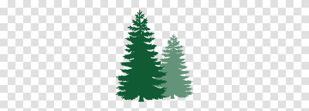 Pine Trees Clip Art, Plant, Ornament, Christmas Tree, Fir Transparent Png
