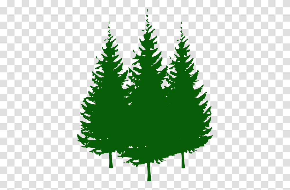 Pine Trees Clip Arts For Web, Plant, Christmas Tree, Ornament, Fir Transparent Png