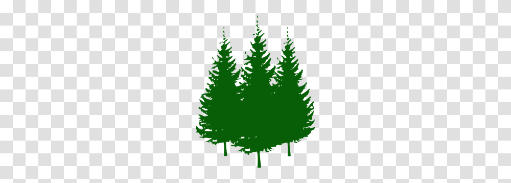 Pine Trees Clip Arts For Web, Plant, Ornament, Conifer, Fir Transparent Png