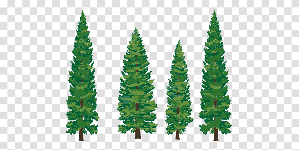 Pine Trees Clipart, Plant, Fir, Abies, Pineapple Transparent Png