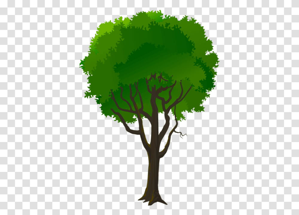 Pine Trees Clipart Portable Network Graphics, Plant, Moss, Green, Pattern Transparent Png
