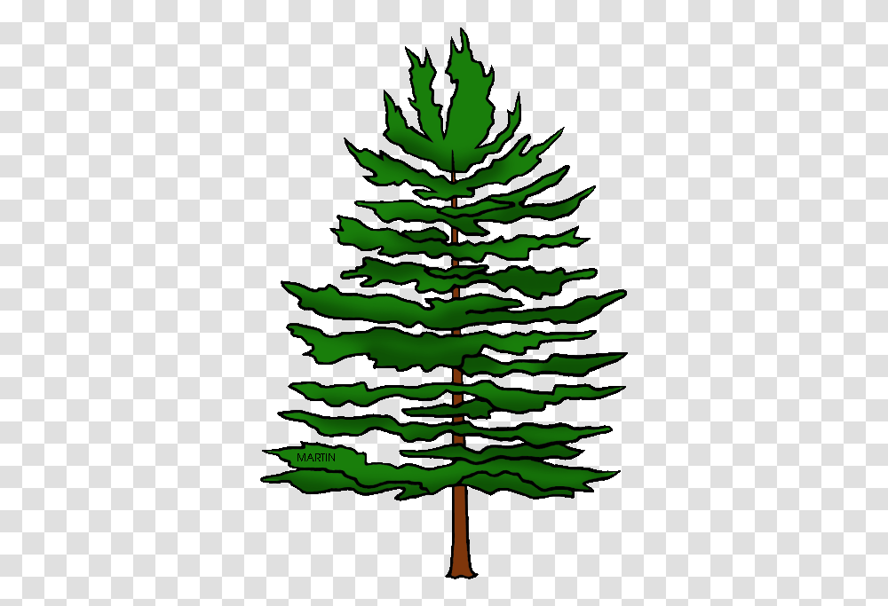 Pine Trees Eastern White Pine Clipart, Plant, Ornament, Christmas Tree, Fir Transparent Png