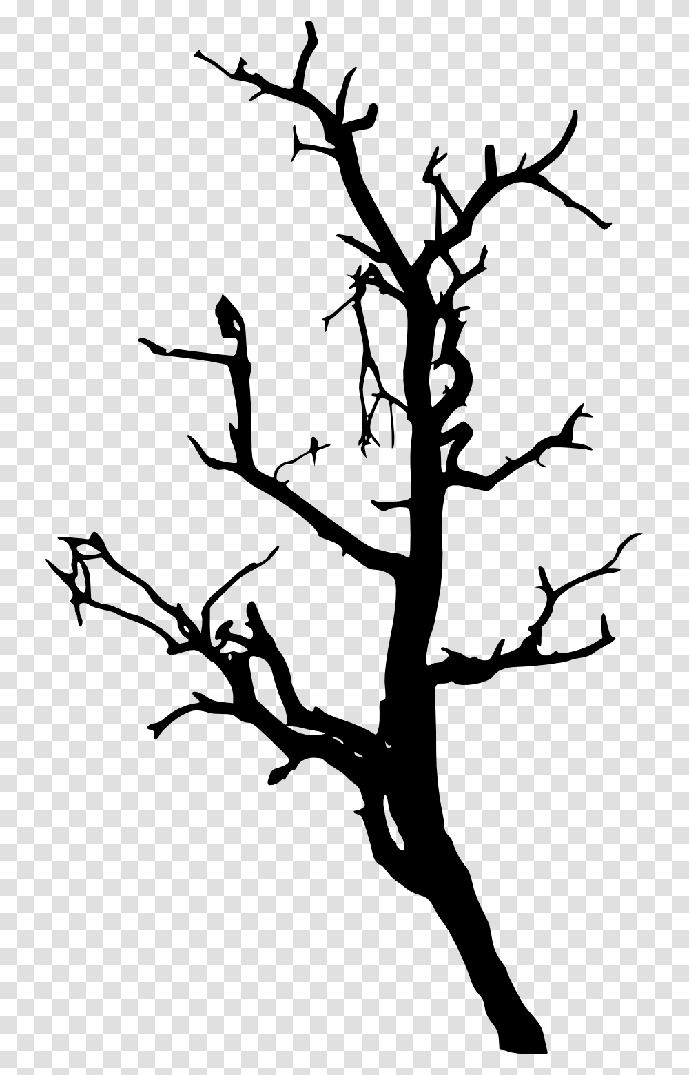 Pine Trees Forest Silhouette Dead Tree Silhouette, Plant, Stencil, Flower, Blossom Transparent Png
