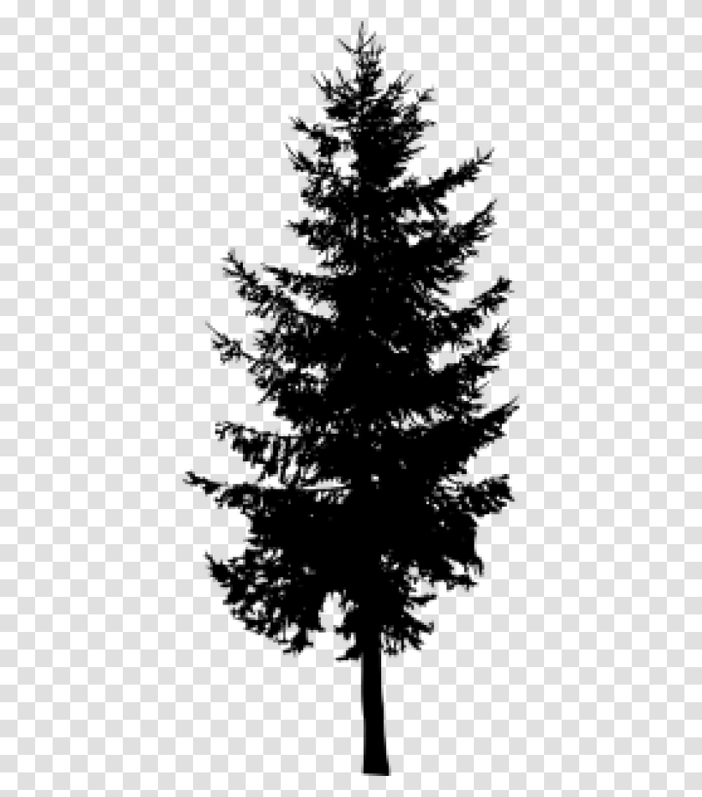 Pine Trees, Gray, World Of Warcraft Transparent Png