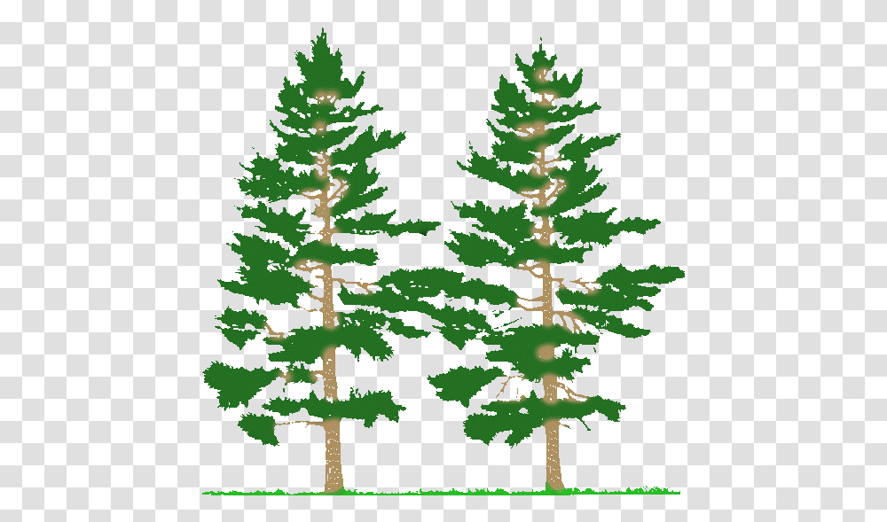Pine Trees Silhouette Farming Simulator 2017 Mods Trees 2017, Plant, Fir, Abies, Conifer Transparent Png