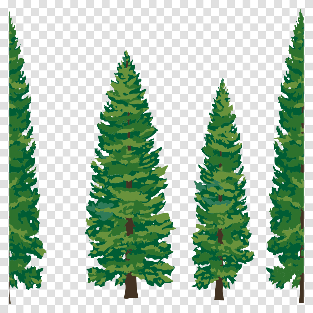 Pine Trees Silhouette Pine Clipart, Plant, Fir, Abies, Conifer Transparent Png