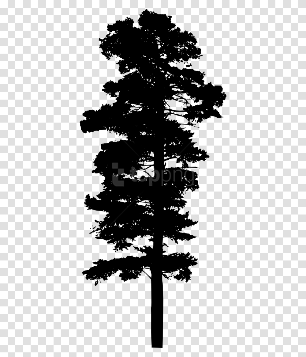 Pine Trees Silhouette Pine Trees Free Silhouette, Plant, Stencil Transparent Png