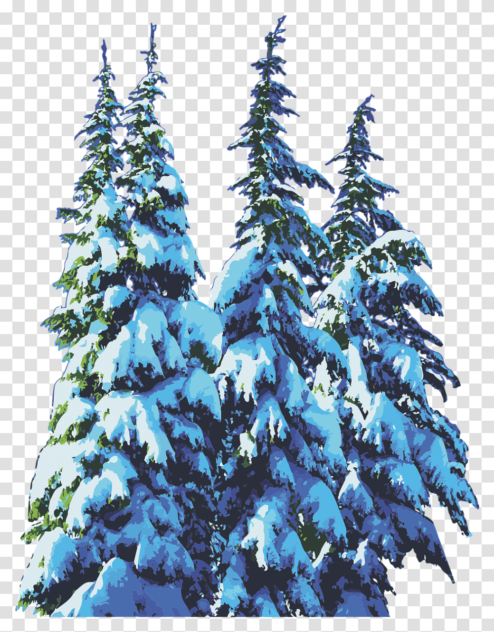 Pine Trees Snow Winter Free Vector Graphic On Pixabay Pine Trees Winter, Plant, Fir, Abies, Conifer Transparent Png