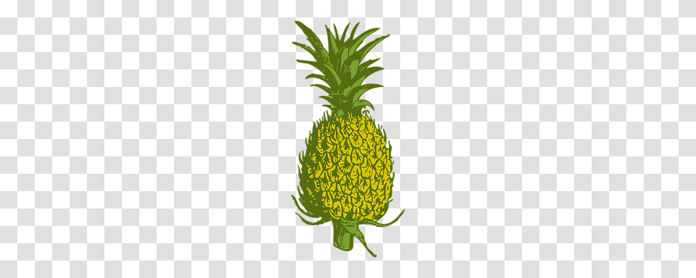 Pineapple Food, Plant, Fruit, Produce Transparent Png