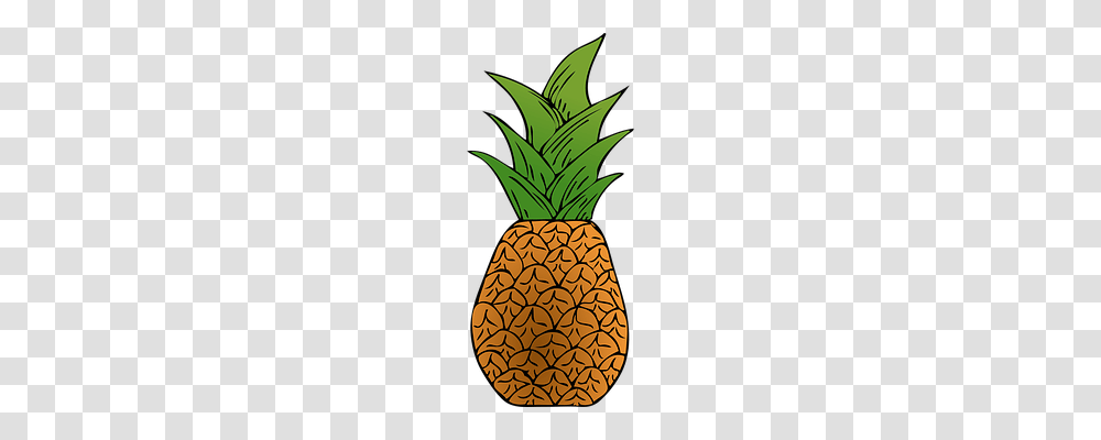 Pineapple Nature, Plant, Fruit, Food Transparent Png