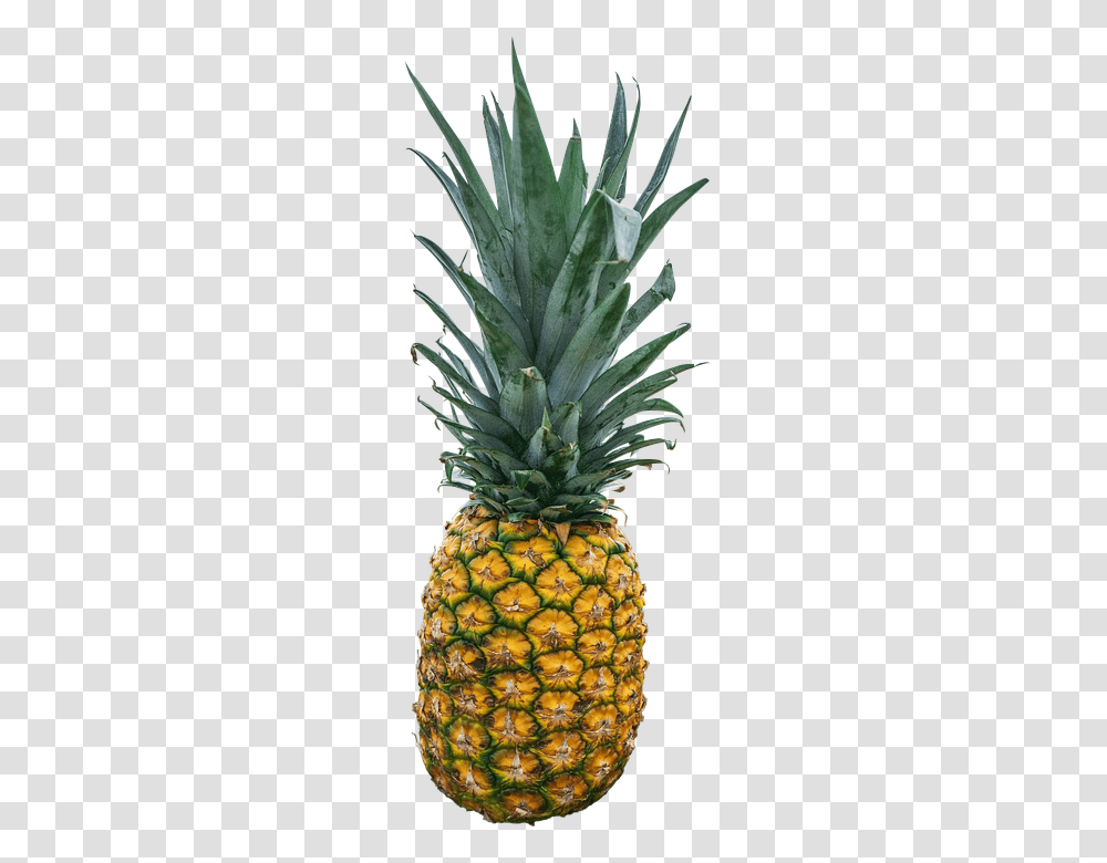 Pineapple 960, Fruit, Plant, Food Transparent Png