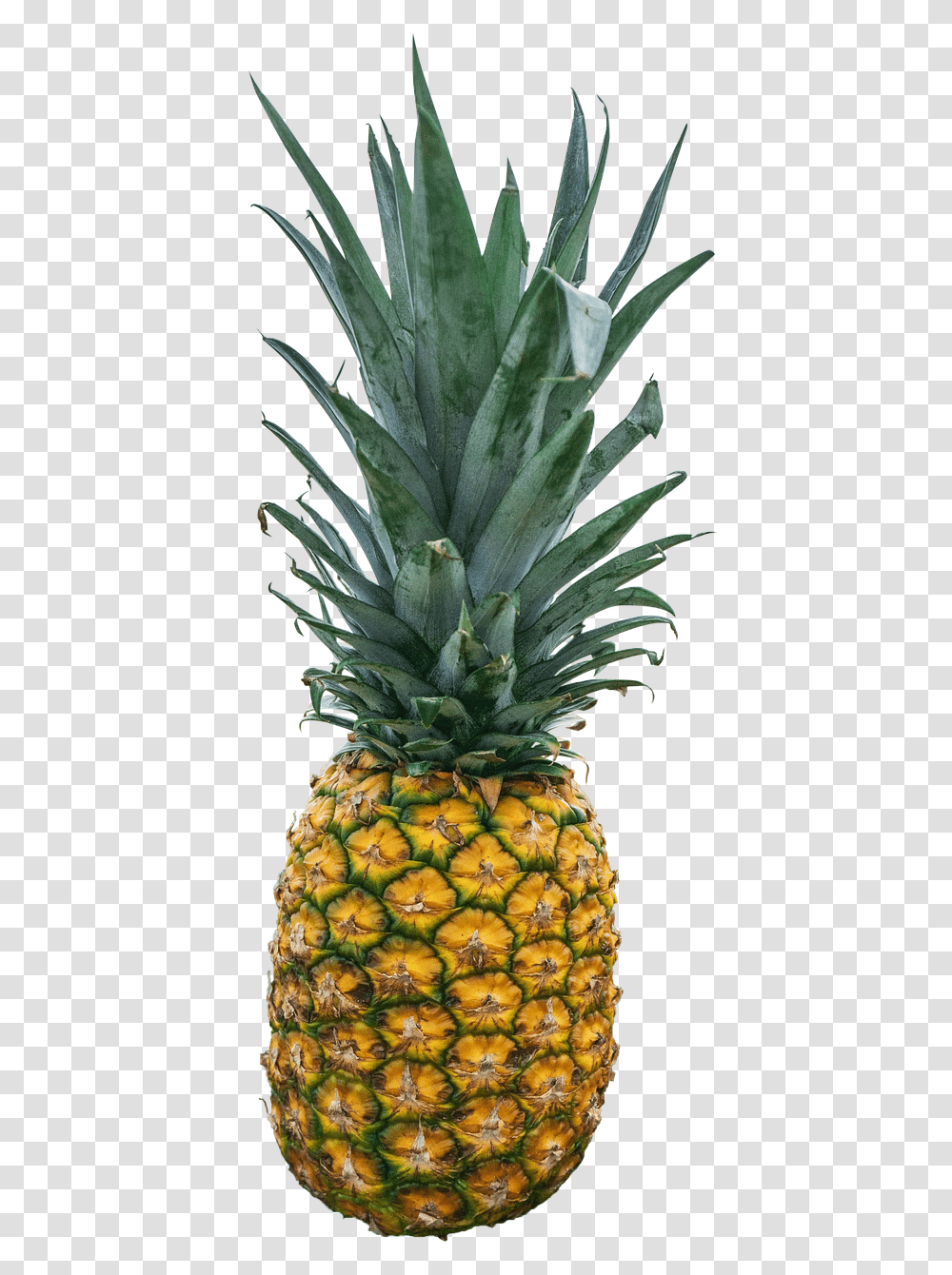 Pineapple Food, Fruit, Plant Transparent Png