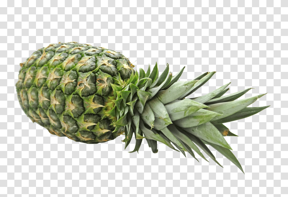 Pineapple 960, Fruit, Plant, Food Transparent Png