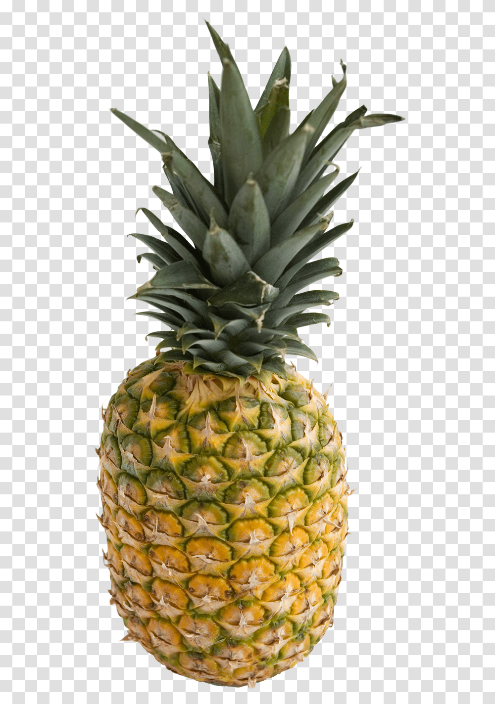 Pineapple And Vectors For Free Pineapple Ananas, Fruit, Plant, Food Transparent Png
