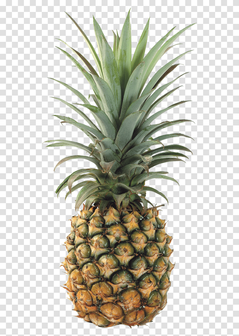 Pineapple Background Pineapple Background, Fruit, Plant, Food Transparent Png