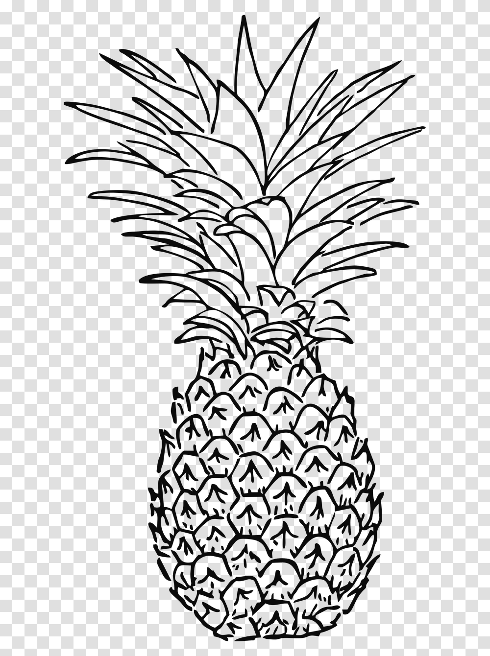Pineapple Black And White, Nature, Outdoors, Sea, Water Transparent Png