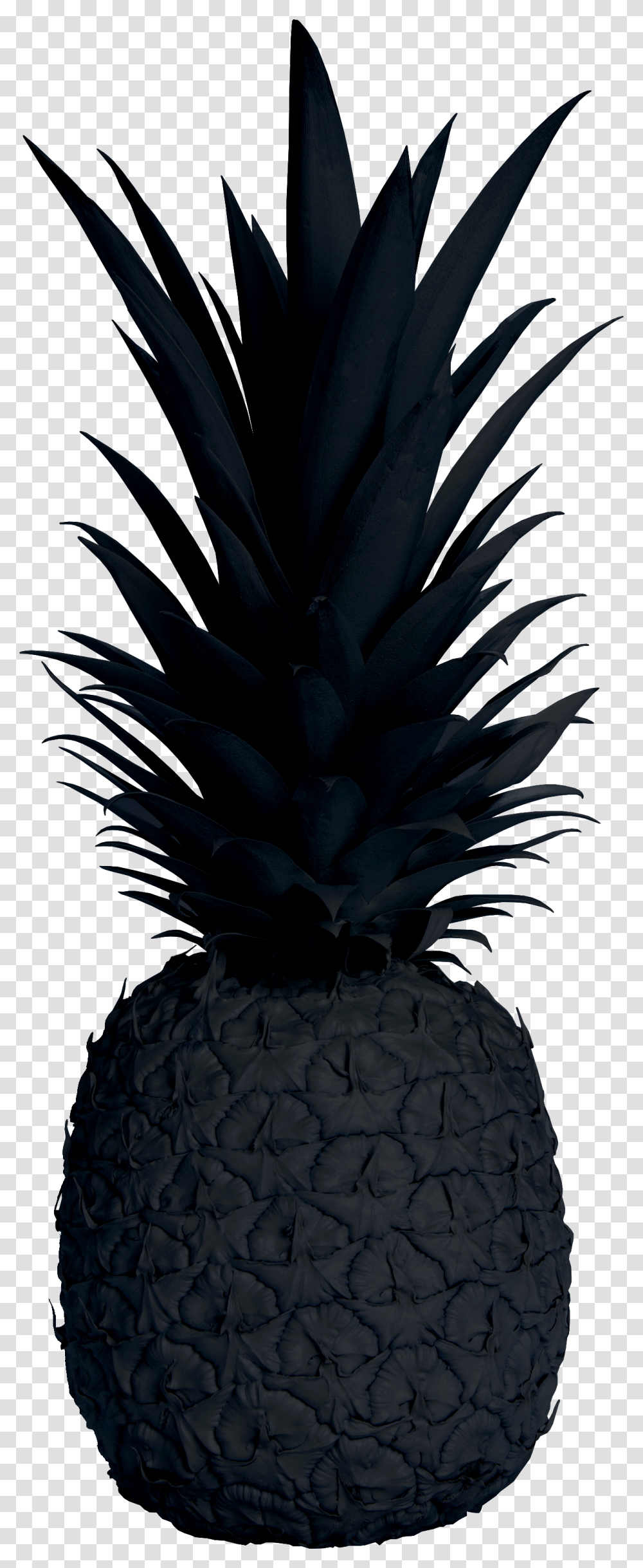 Pineapple Black Black Pineapple, Fruit, Plant, Food Transparent Png