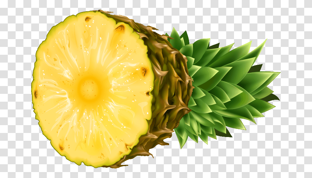 Pineapple Clip Art Free Free Clipart Image Clipartwiz Pineapple And Coconut, Plant, Fruit, Food, Citrus Fruit Transparent Png