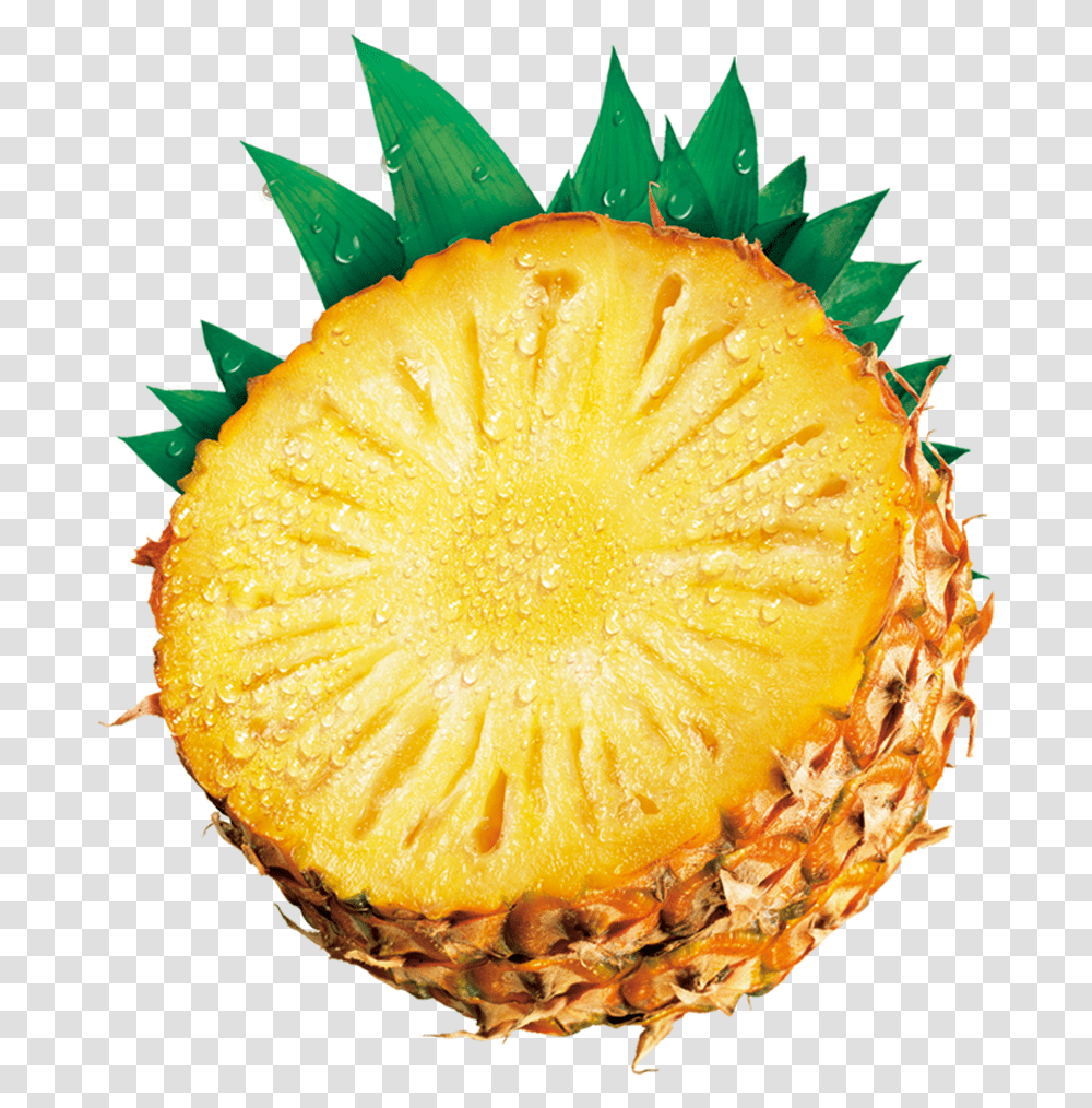 Pineapple Clip Art Pineapple Clip Art & Pineapple Pineapple, Plant, Fruit, Food, Burger Transparent Png