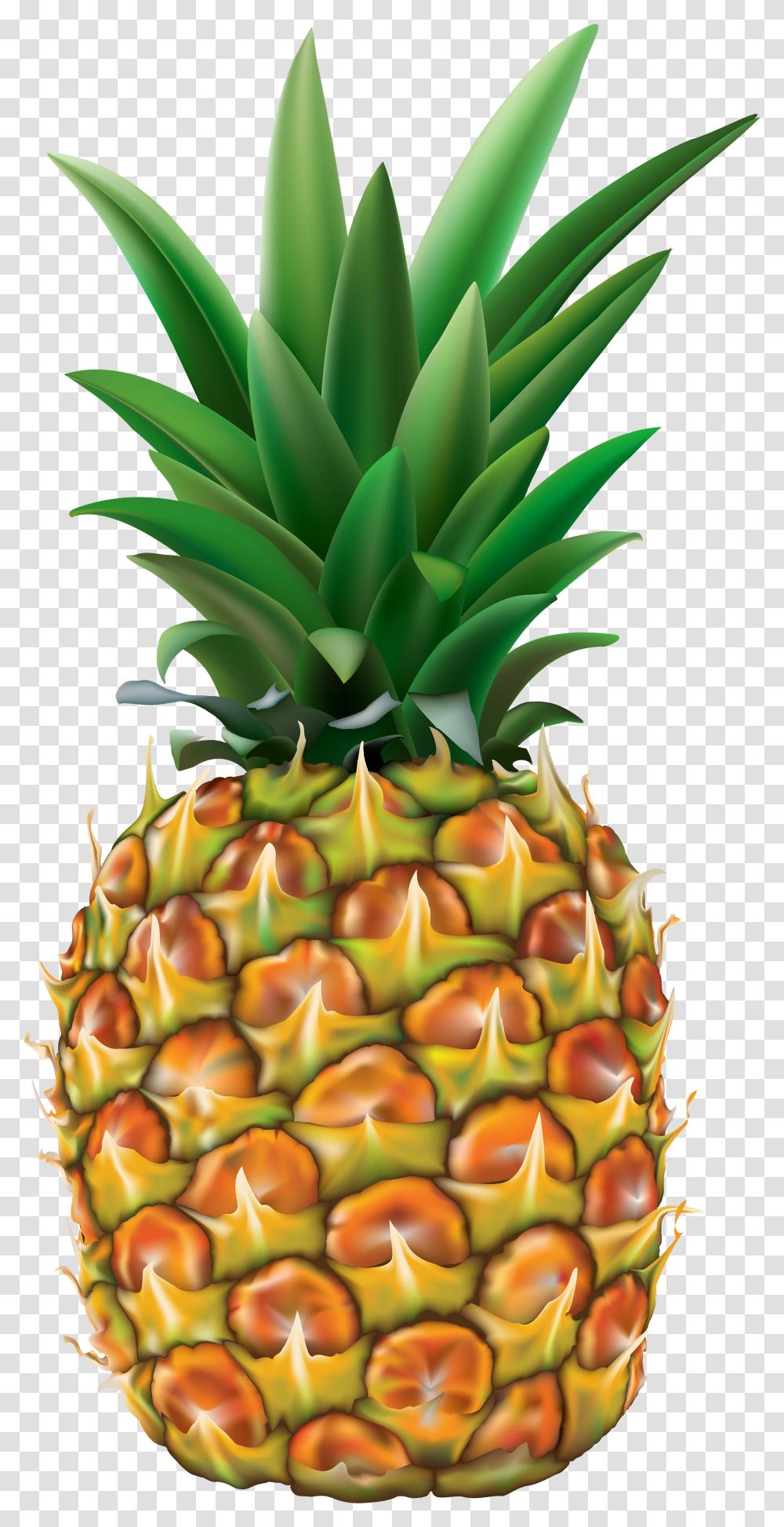 Pineapple Clipart Background Pencil And Pineapple Clipart Transparent Png