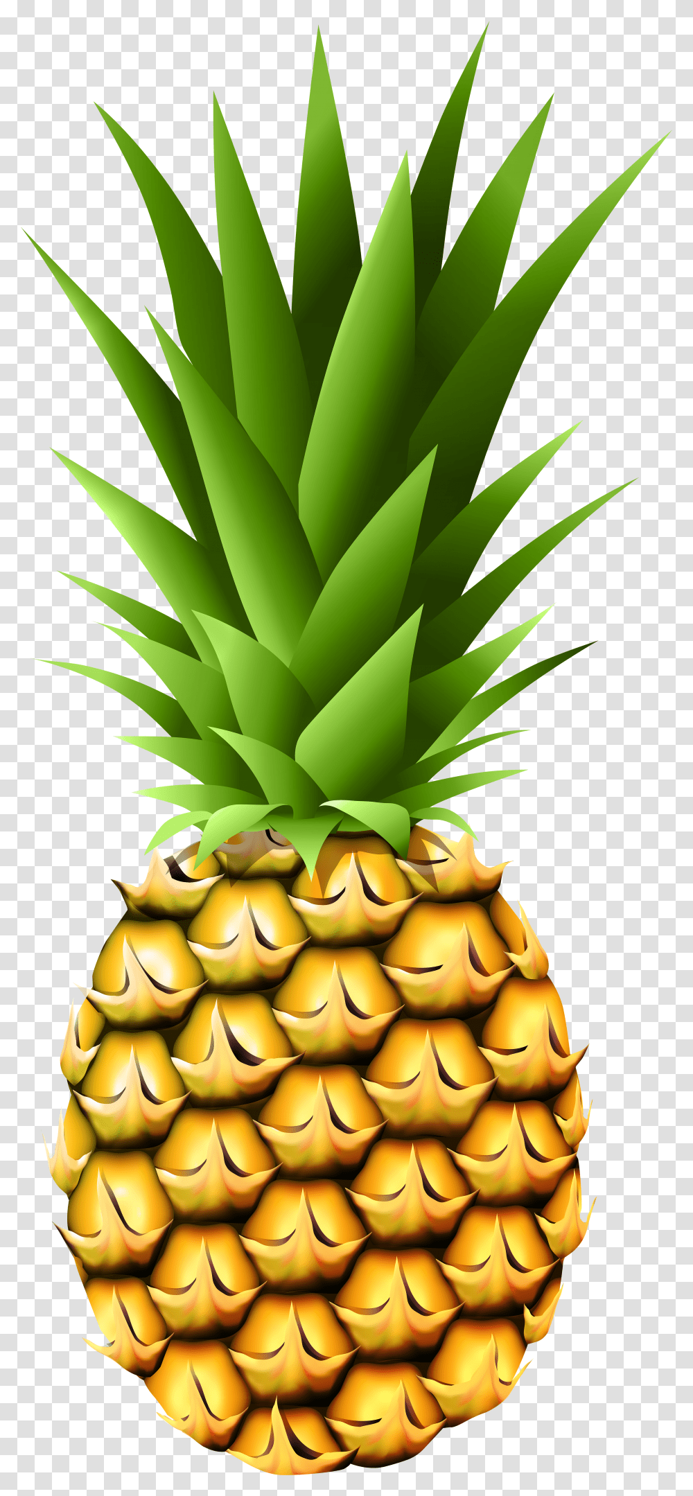 Pineapple Clipart Cartoon Transparent Png