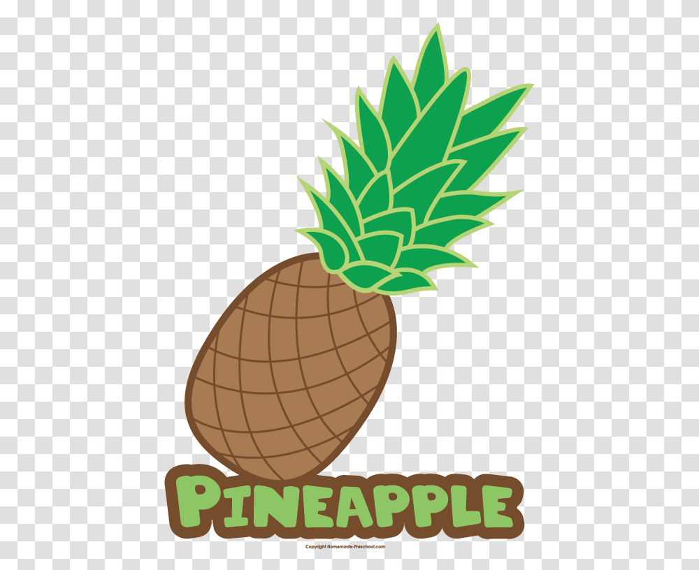 Pineapple Clipart Name Pineapple With Name Pineapple Fruit With Name, Plant, Food, Tree, Nut Transparent Png