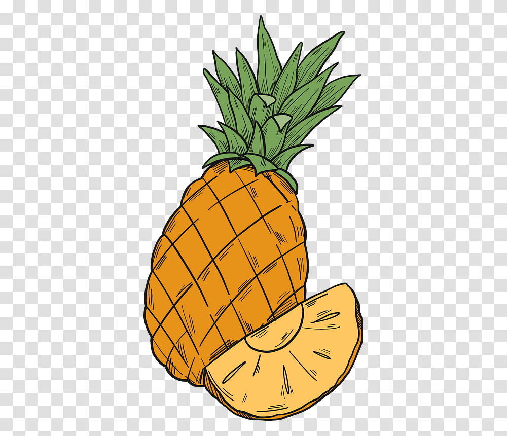 Pineapple Clipart Pineapple, Fruit, Plant, Food Transparent Png