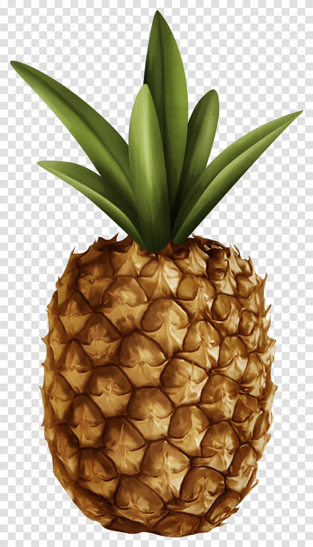 Pineapple Clipart Pineapple, Fruit, Plant, Food Transparent Png