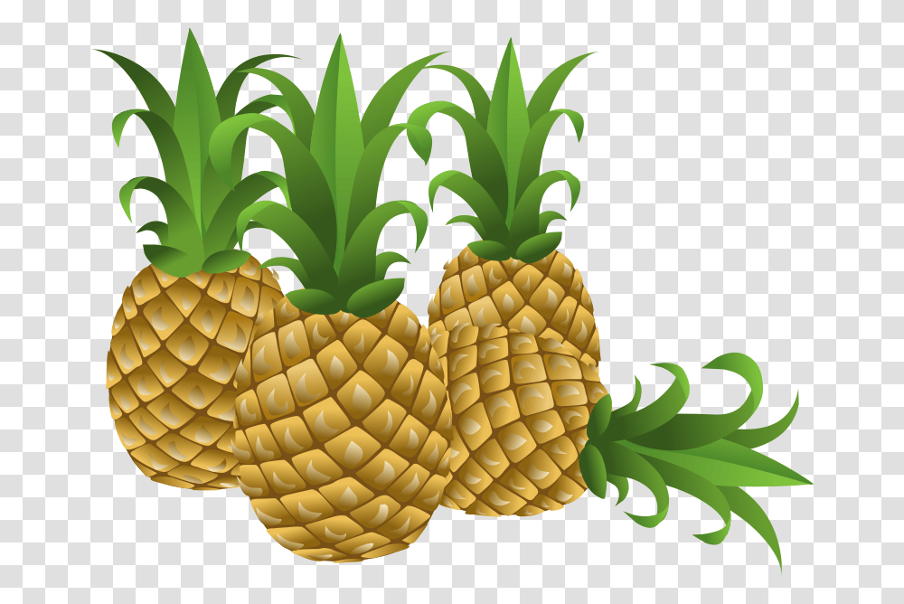 Pineapple Clipart, Plant, Fruit, Food, Fungus Transparent Png