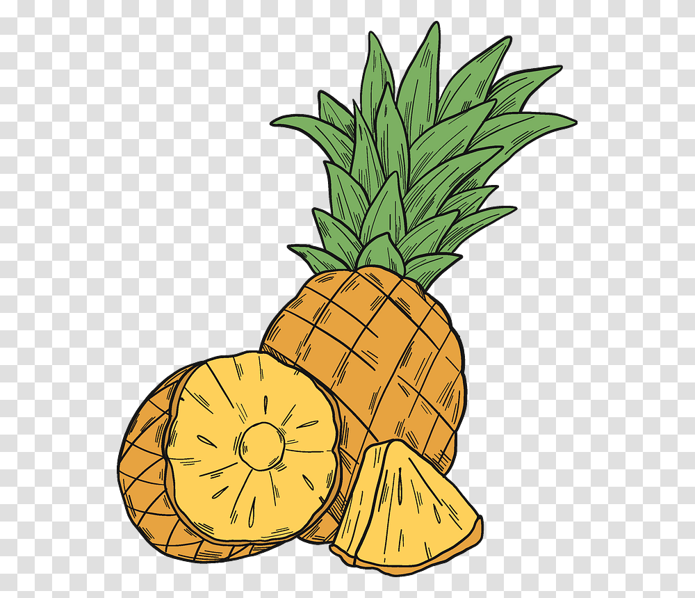 Pineapple Clipart, Plant, Fruit, Food Transparent Png