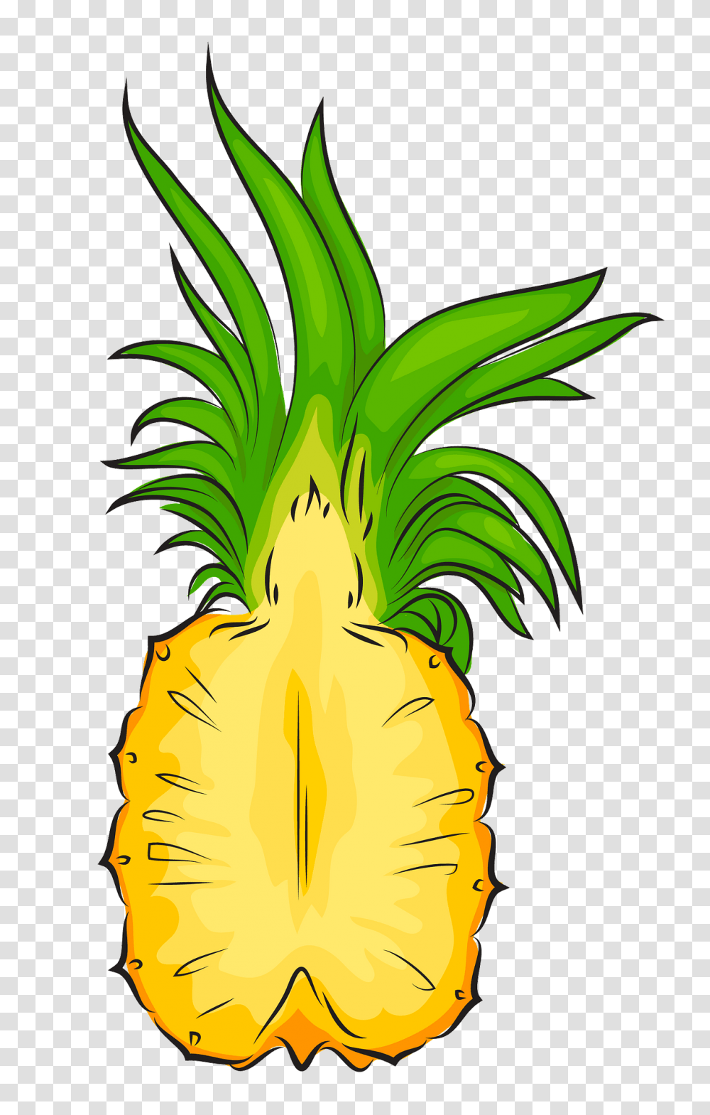 Pineapple Cut In Half Clipart Free Download Creazilla Pineapple Cut In Half, Plant, Fruit, Food, Produce Transparent Png