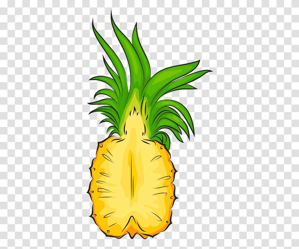Pineapple Cut In Half Clipart Half Pineapple Clipart, Plant, Food, Vegetable, Fruit Transparent Png