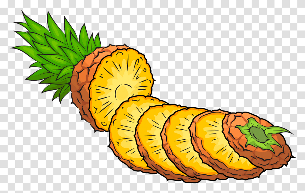 Pineapple Cut Into Pieces Clipart Free Download Creazilla Pineapple Cut Clipart, Plant, Fruit, Food, Person Transparent Png