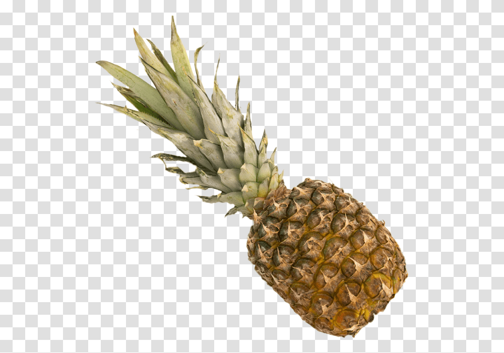 Pineapple Download, Plant, Fruit, Food Transparent Png