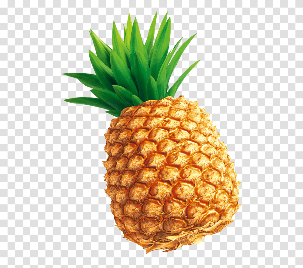 Pineapple Download Tempting Pineapple Download 800 Pineapple Illustration, Fruit, Plant, Food Transparent Png