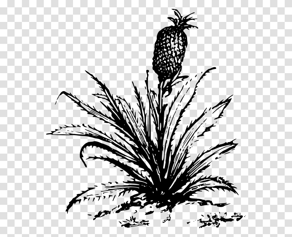 Pineapple Drawing Cartoon Plants, Gray, World Of Warcraft Transparent Png