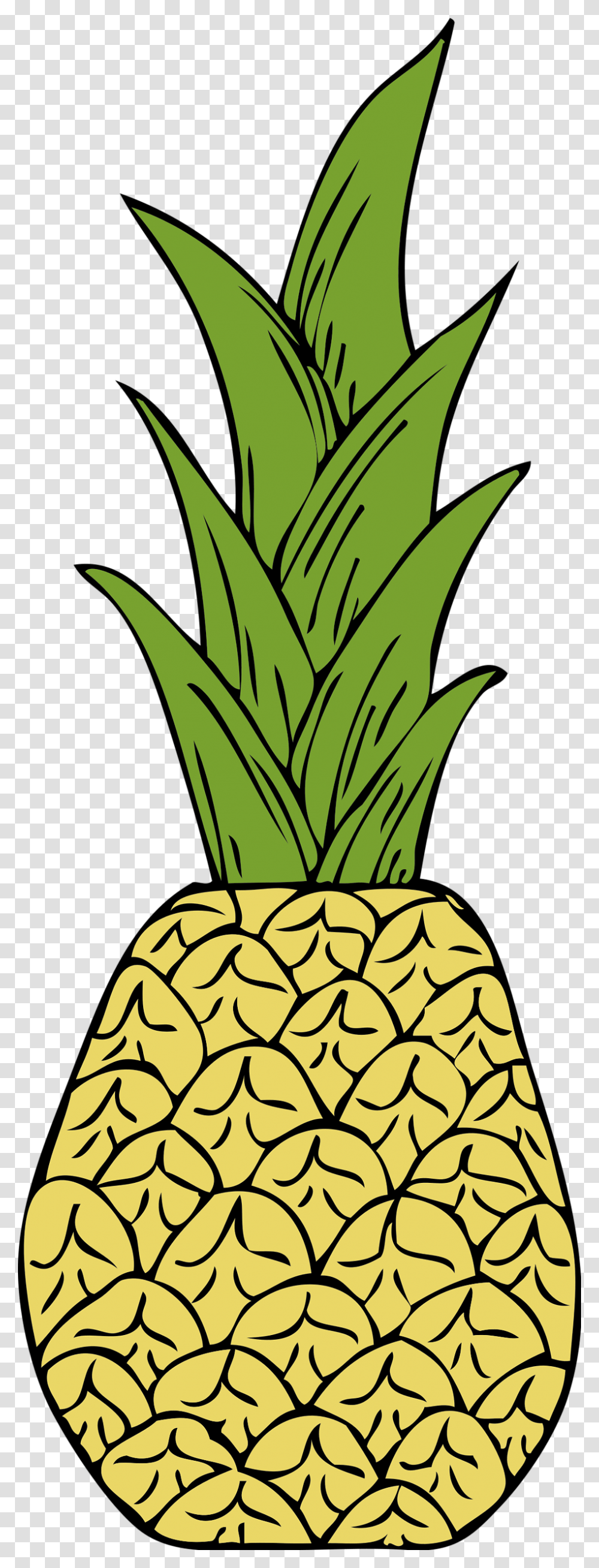 Pineapple Drawing Clip Art Pineapple Tumblr, Fruit, Plant, Food, Produce Transparent Png